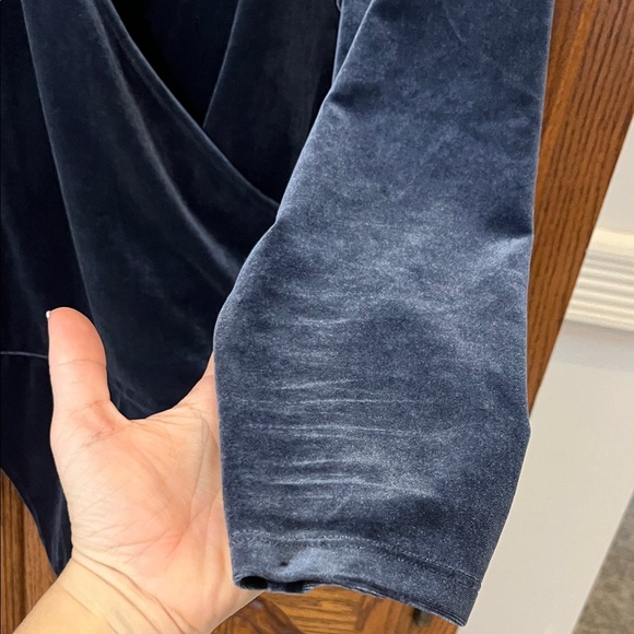 Banana Republic Velvet Bodysuit - Picture 8 of 16